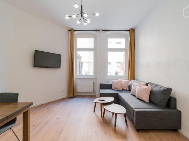 Cute apartment in nice area, Berlin Amsterdam Apartments for Rent