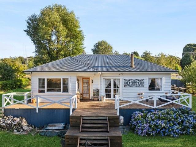 Cute as a Button: A Charming Trentham Classic