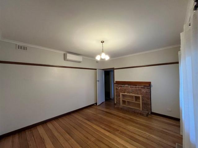 Cute As A Button Right Here In Traralgon