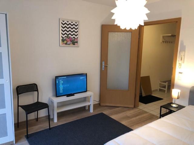 Cute studio close to park, Leipzig, Leipzig Amsterdam Apartments for Rent