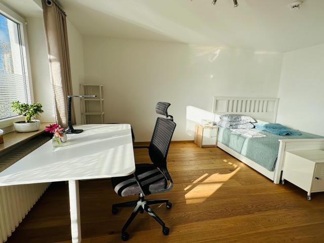 Cute studio in München