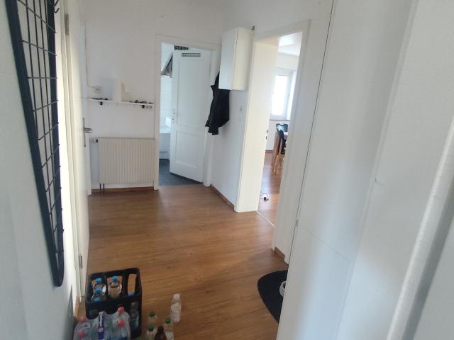 Cute studio in Stuttgart, Stuttgart Amsterdam Apartments for Rent