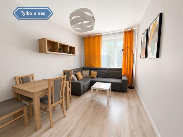 Częstochowa, Trzech Wieszczów, Ogińskiego, 42 m2