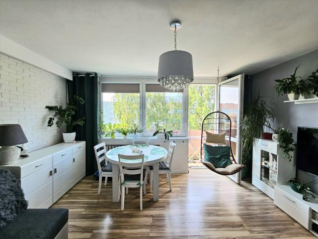Częstochowa, Północ, 52 m2