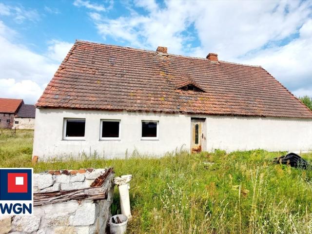 Urokliwy dom z potencjałem i lokal użytkowy w Czernej