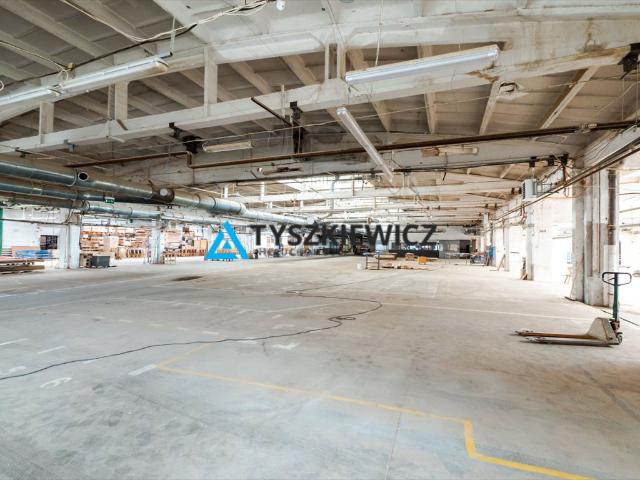 Czersk, 300 m2