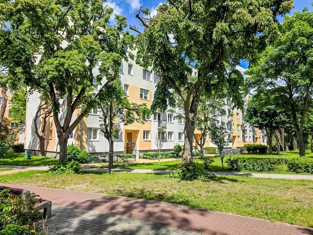 Mieszkanie do wynajęcia, Gdańsk Żabianka Orłowska, 4500 PLN, 63 m2, domy 3145/19413/OMW