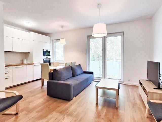 Mieszkanie do wynajęcia, Łódź Widzew Olechów Janów Zakładowa, 3300 PLN, 65 m2, domy 7059