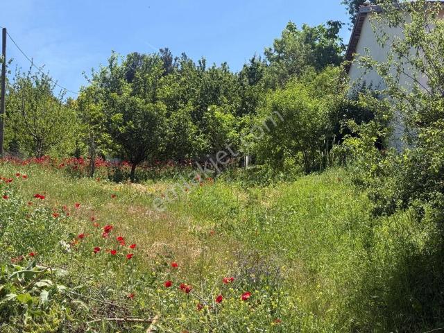 Dışbudak Köyünde 3 Dönüm Arsa Üzerinde İki Katlı Köy Evi