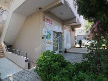 Çamlık Mah , Didim, Didim, Aydın ili, Ege Bölgesi