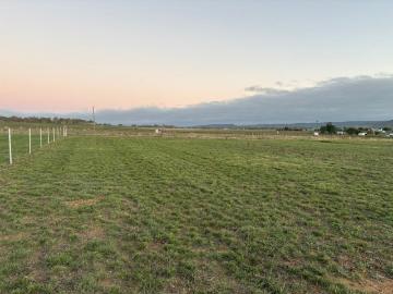 DA Approved 3 Lot Subdivision OR Build Your Dream Estate