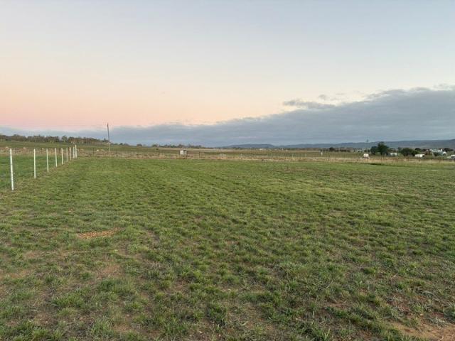 DA Approved 3 Lot Subdivision OR Build Your Dream Estate