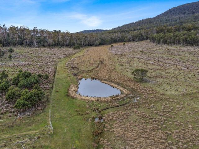 Dam, Trees and Pasture