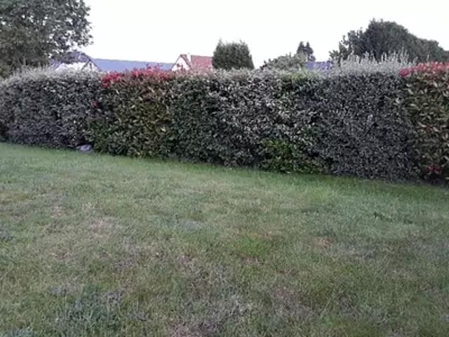 Dammartin en Serve 78111 Programme neuf maison neuf à vendre 5 pièces