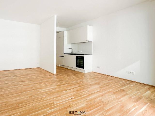 DANUBEVIEW Singlewohnung mit Freifläche Nähe Strandbad Alte Donau