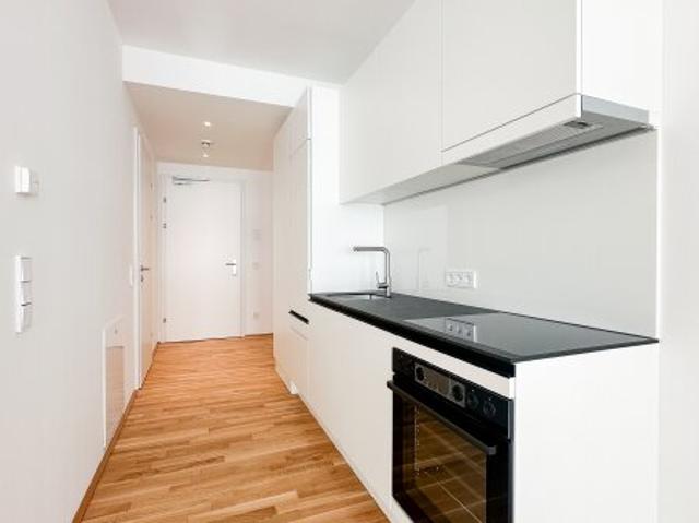 DANUBEVIEW Singlewohnung mit Freifläche Nähe Strandbad Alte Donau