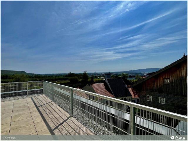 Danube Hills BK I Linde
