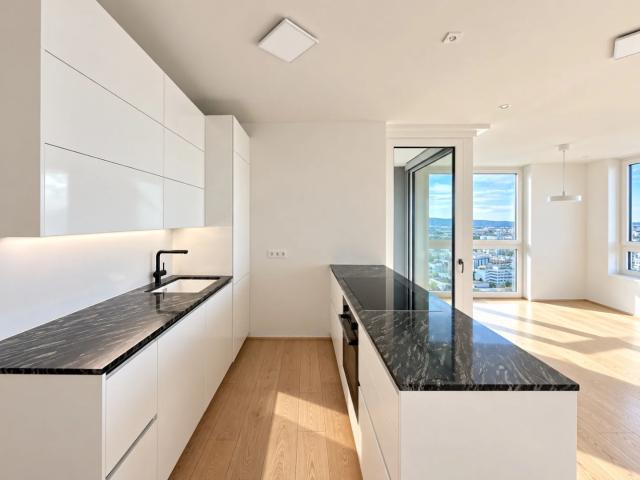 DANUBE PANORAMA: Urban Living on Level 22 in Vienna 22