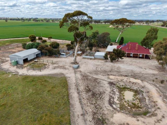 Dangin Homestead on 4.82ha Country Living with Equestrian Appeal
