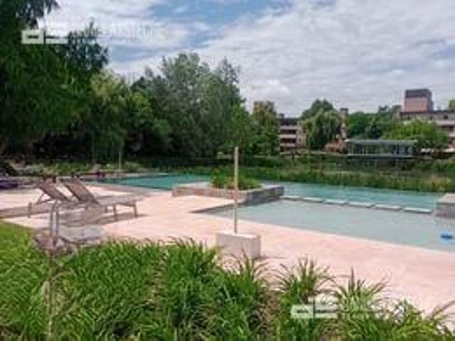 Daniela Esteche Realty & Home