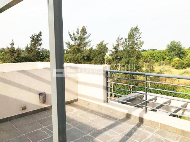 Daniela Esteche Realty & Home