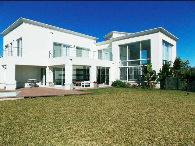 Daniela Esteche Realty & Home