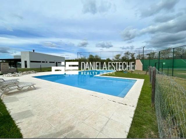 Daniela Esteche Realty & Home