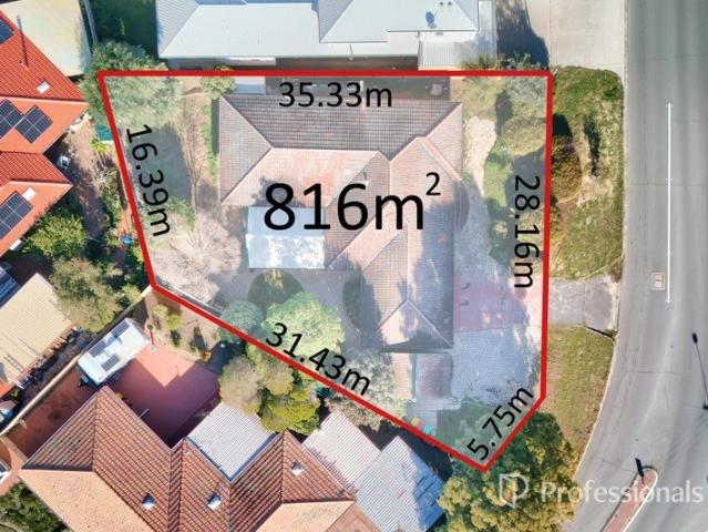 Daniella Sparta Presents a Dianella Border Opportunity!