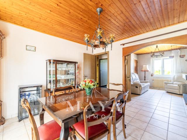 DANNEMARIE, Maison plain pied de 81m2 sur 12,44 ares