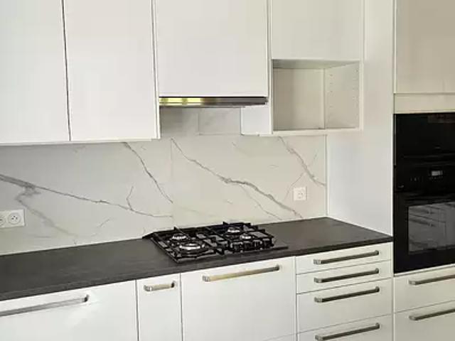 Dannemarie 68210 Achat / Vente maison 7 pièces t7