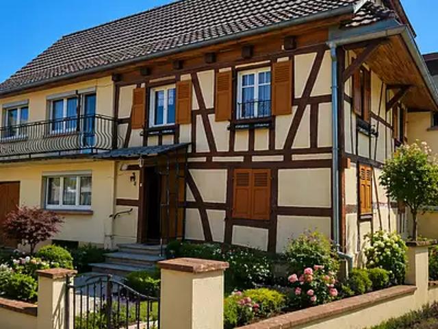 Dannemarie 68210 Achat / Vente maison 8 pièces t8 jardin terrasse