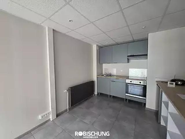 Dannemarie 68210 Location appartement 2 pièces t2