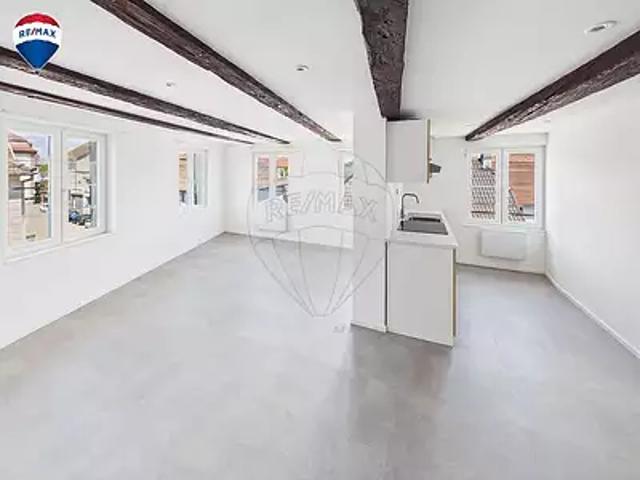 Dannemarie 68210 Location appartement 3 pièces t3