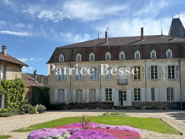 Dans la Dombes, à 60 km de Lyon, dans un village, une demeur. 640m² Bourg en Bresse
