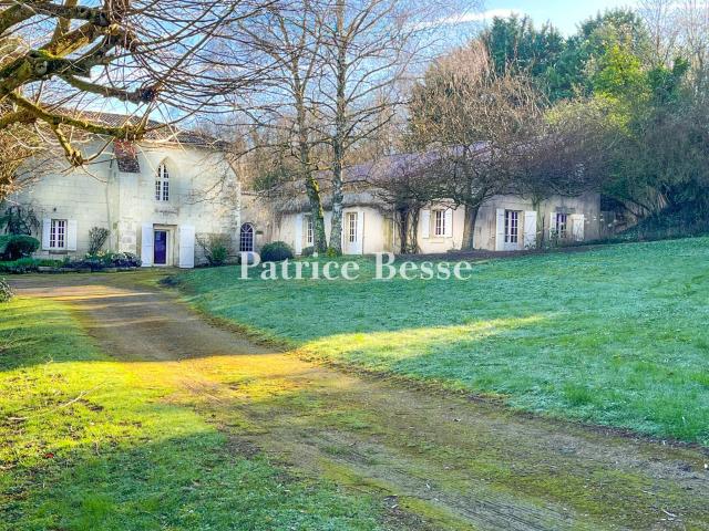 Dans la Vienne, à 20 min de Châtellerault et 30 min de Poiti. 230m² Naintré