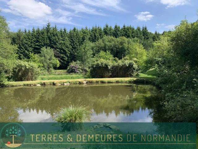 Dans le bocage normand et Région de VIRE 14500 Domaine forestier de 18 ha avec des étangs