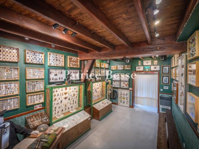Dans le parc naturel régional de Millevaches, un musée en ac. 962m² Limoges