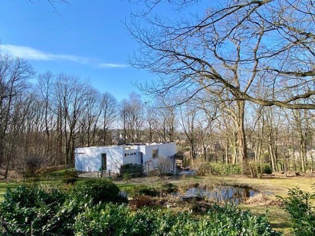 Dans un havre de paix, magnifique propriété boisée au calme