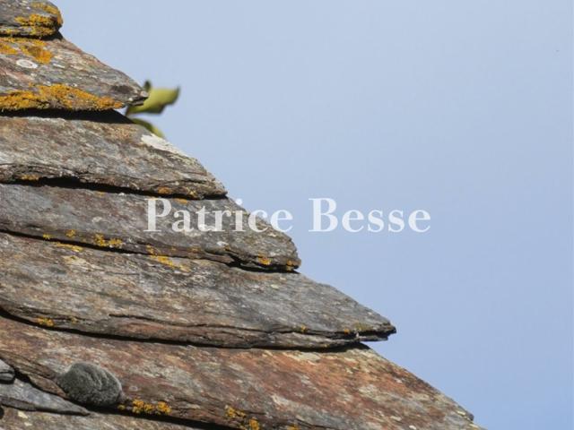 Dans un village du Parc national des Cévennes, une ancienn. 190m² Florac Trois Rivières