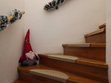 Apartment for rent in 3100 - Garten, Keller