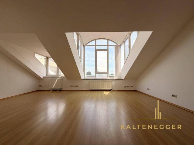 Dachgeschosswohnung mit Klimaanlage und Blick auf den Nussdorfer Platz