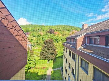 Dachgeschoßwohnung in absoluter Ruhelage