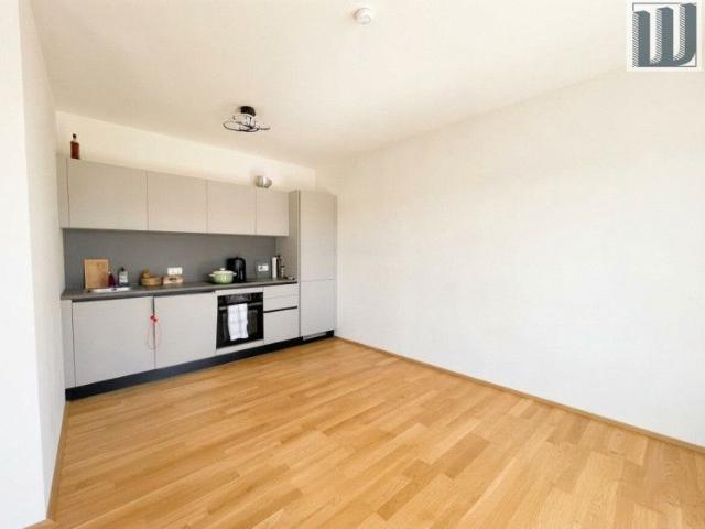 Dachgeschoss Apartment mit Kellerabteil und Terrasse in Wiener Neustadt – Ihr neues Zuhause!