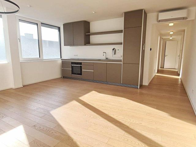 DACHGESCHOSS, klimatisierte 82 m2 Neubau, 2 Zimmer, Wohnküche, Wannenbad, Parketten, Hauptbahnhof Nähe, Argentinierstraße