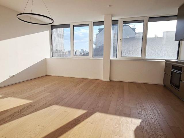 DACHGESCHOSS, klimatisierte 82 m2 Neubau, 2 Zimmer, Wohnküche, Wannenbad, Parketten, Hauptbahnhof Nähe, Argentinierstraße