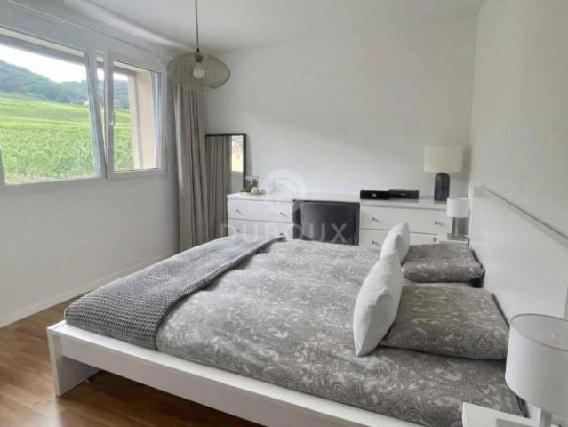 2.5 Zimmerwohnung