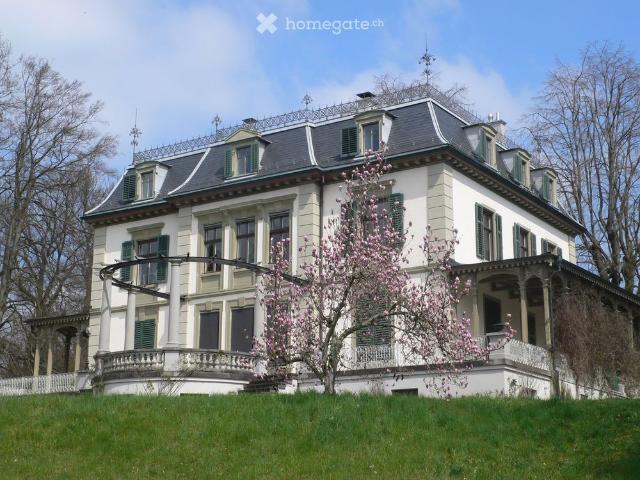 Dachwohnung mit Glaspyramiden