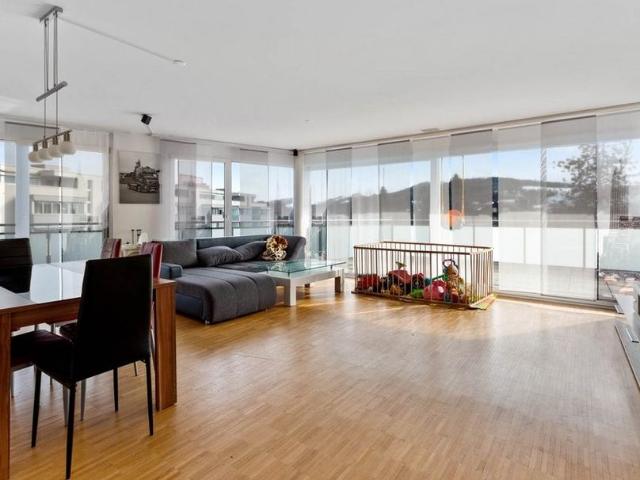 Dachwohnung mit grosser Terrasse