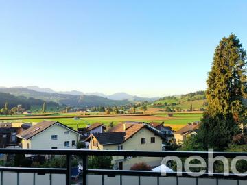 Dachwohnung mit fantastischer Bergsicht