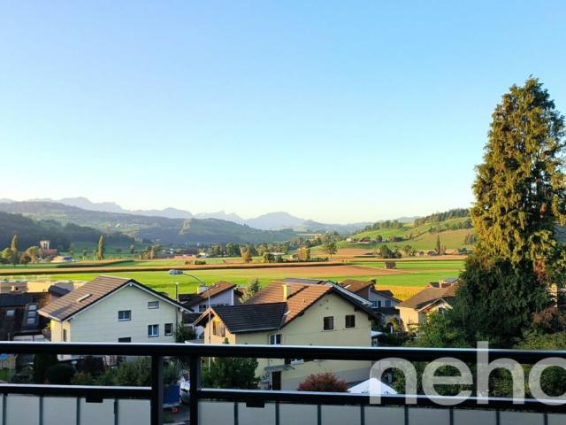 Dachwohnung mit fantastischer Bergsicht